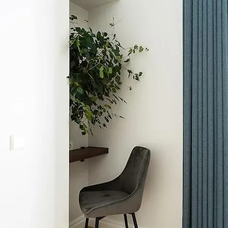 Dictumfactum Nest On Pikk Tallin