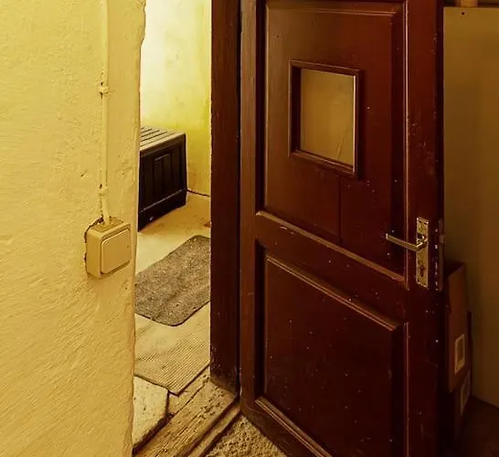 Dictumfactum Nest On Pikk * Tallinn