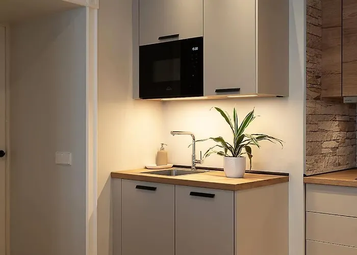 Dictumfactum Nest On Pikk Apartment